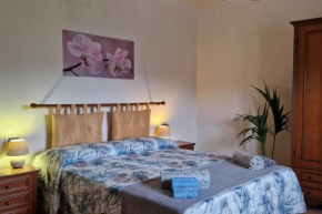 Petreto Il Giardino dei limoni Castiglion Fiorentino